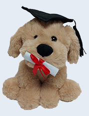 QUT Graduation Dog Buddy