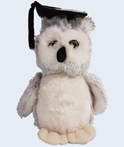 QUT Graduation Owl