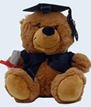 QUT Graduation Bear - Brown 18cm