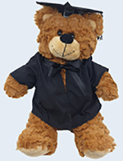 QUT Graduation Bear 25cm