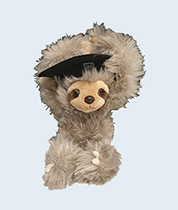 QUT Graduation Sloth