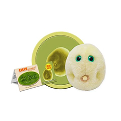 HAY FEVER - GIANT MICROBES - #GM0350 - HEEBIE JEEBIES