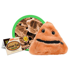 LIVER DISEASE CELL - GIANT MICROBES - #GM0457 - HEEBIE      JEEBIES