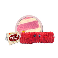 MUSCLE CELL - GIANT MICROBES - #GM0528 - HEEBIE JEEBIES