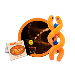 DNA - GIANT MICROBES - #GM0200 - HEEBIE JEEBIES