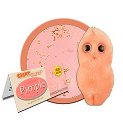 PIMPLE - GIANT MICROBES - HEEBIE JEEBIES
