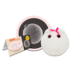 EGG CELL - GIANT MICROBES - #GM0245 - HEEBIE JEEBIES