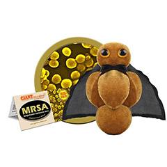 MRSA - GIANT MICROBES - #GM0525 - HEEBIE JEEBIES