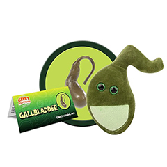 GALLBLADDER - GIANT MICROBES - HEEBIE JEEBIES