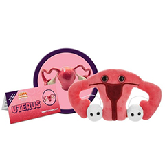 UTERUS ORGAN - GIANT MICROBES - #GMO3037 - HEEBIE JEEBIES
