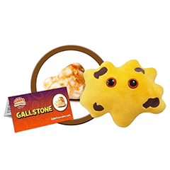 GALLSTONE - GIANT MICROBES - HEEBIE JEEBIES
