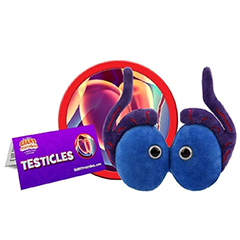 TESTICLES ORGAN - GIANT MICROBES - #GMO3044 - HEEBIE JEEBIES