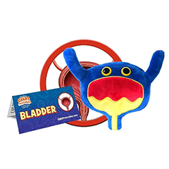 BLADDER ORGAN - GIANT MICROBES - HEEBIE JEEBIES