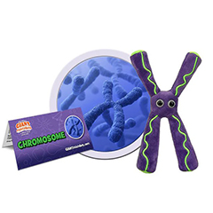 CHROMOSOME - GIANT MICROBES - #GM0142 - HEEBIE JEEBIES
