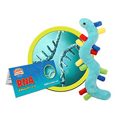 RNA RIBONUCLEIC ACID - GIANT MICROBES - #GM0622 - HEEBIE    JEEBIES