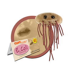 E.COLI - GIANT MICROBES - #GM0220 - HEEBIE JEEBIES