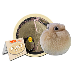 FAT CELL - GIANT MICROBES - #GM0250 - HEEBIE JEEBIES