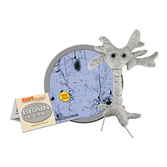 BRAIN CELL - GIANT MICROBES - #GM0100 - HEEBIE JEEBIES