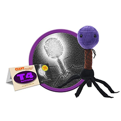 T4 ESCHERICHIA VIRUS - GIANT MICROBES - HEEBIE JEEBIES