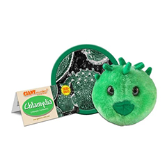 CHLAMYDIA - GIANT MICROBES - #GM0130 - HEEBIE JEEBIES