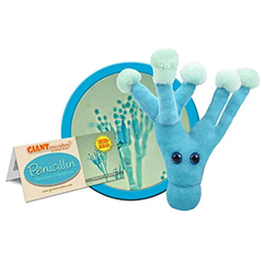 PENICILLIN - GIANT MICROBES - HEEBIE JEEBIES