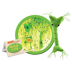 NERVE CELL - GIANT MICROBES - #GM0535 - HEEBIE JEEBIES