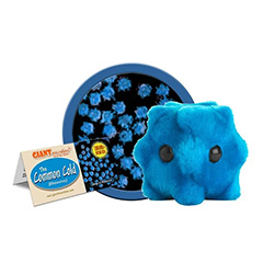 COMMON COLD - GIANT MICROBES - HEEBIE JEEBIES