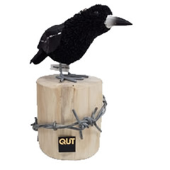 QUT MAGPIE ON FENCE POST SET OF 2
