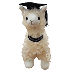 QUT GRADUATION LLAMA LABELLED