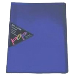 FILE DISPLAY PURPLE P248A-10 (FIXED)