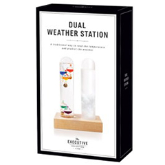DUAL WEATHER STATION
