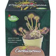 HEEBIE CARNIVOROUS PLANT GROW YOUR OWN
