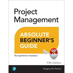 PROJECT MANAGEMENT ABSOLUTE BEGINNER'S GUIDE