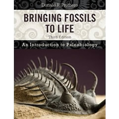 BRINGING FOSSILS TO LIFE