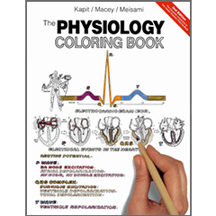 PHYSIOLOGY COLOURING BOOK