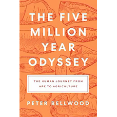 FIVE MILLION YEAR ODYSSEY: HUMAN JOURNEY FROM APE TO        AGRICULTURE
