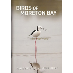 BIRDS OF MORETON BAY
