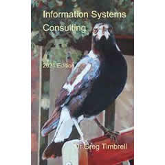 INFORMATION SYSTEMS CONSULTING