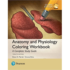ANATOMY & PHYSIOLOGY COLORING WORKBOOK: A COMPLETE STUDY    GUIDE