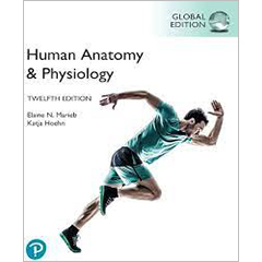 HUMAN ANATOMY & PHYSIOLOGY