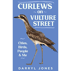 CURLEWS ON VULTURE STREET: CITIES, BIRDS, PEOPLE & ME