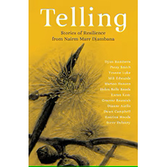 TELLING : STORIES OF RESISTANCE FROM NAIRM MARR DJAMBANA